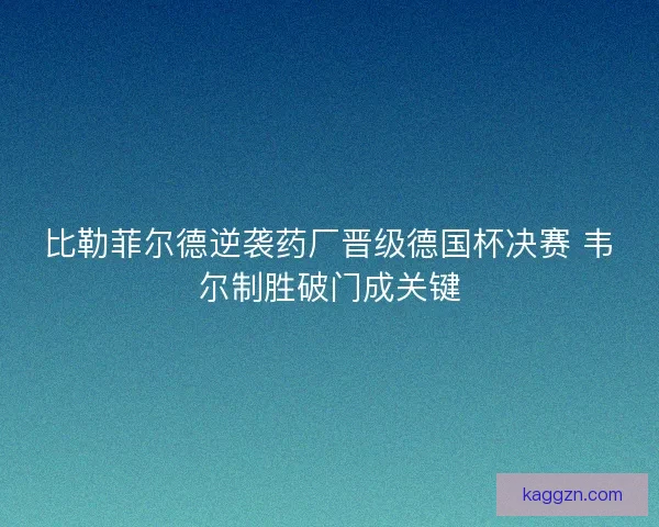 比勒菲尔德逆袭药厂晋级德国杯决赛 韦尔制胜破门成关键